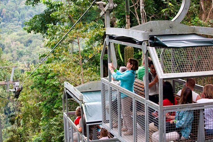 Veragua rainforest & tram. Shore excursion from erto Limon, Costa Rica by Greenway Tours.